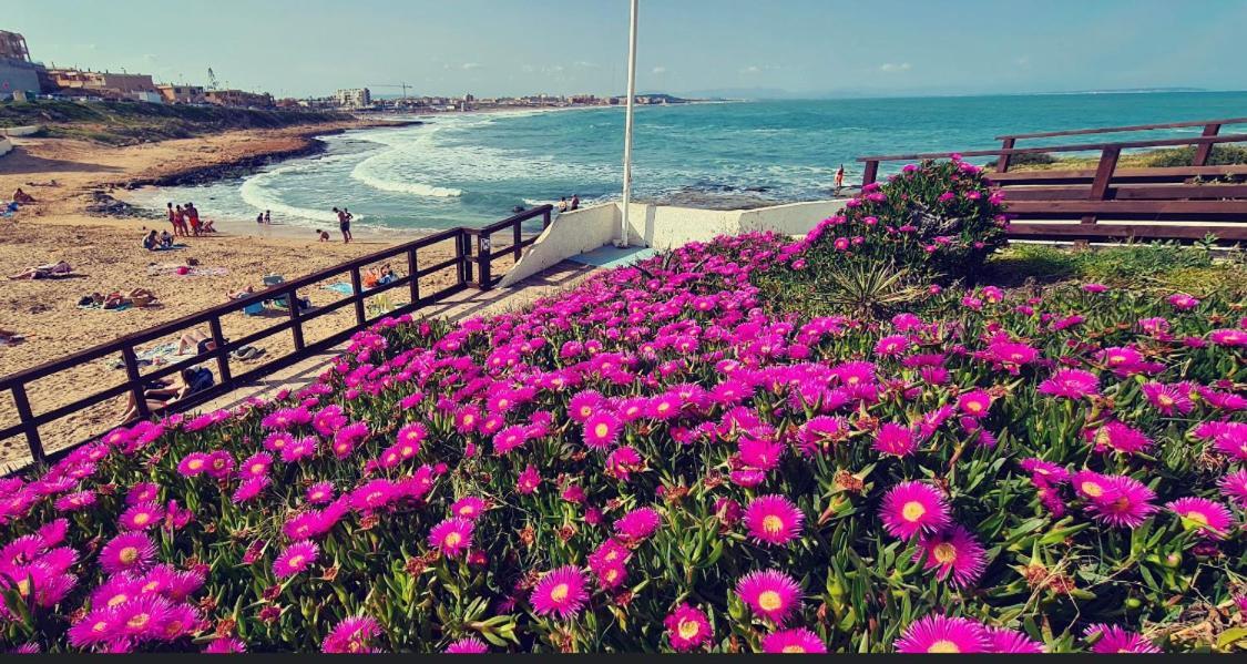 La Mata, Torrevieja Leilighet Eksteriør bilde
